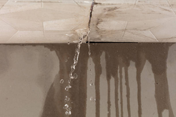 Professional Flood Damage Cleanup technician working in Brinnon, WA